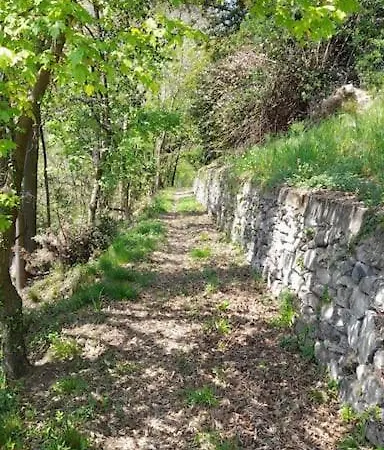 Il Noce Canzo